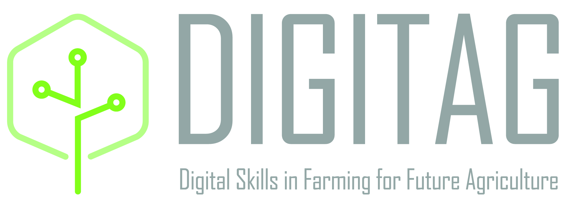 DIGITAG- 3rd Newsletter